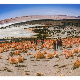 Painel da fotografia cearense contemporânea será lançado nesta quarta-feira (31)