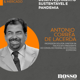 Desenvolvimento Sustentável e Pandemia