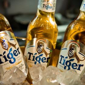 Solar Coca-Cola amplia portfólio de bebidas com lançamento da cerveja Tiger