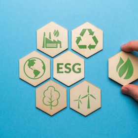 O papel da liderança na agenda ESG