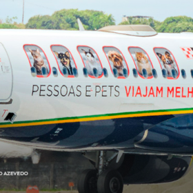 Purina e Azul realizam parceria inédita e passam a oferecer snacks gratuitos para pets a bordo
