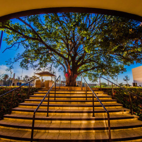 Iguatemi S.A. consolida avanços em torno da agenda ESG e apresenta seu primeiro relatório de sustentabilidade