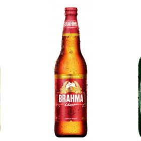Conheça as marcas de cervejas mais conhecidas pelos internautas brasileiros