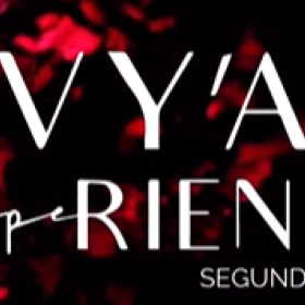 Vya Concept Clinic promove evento com foco em experiências sensoriais