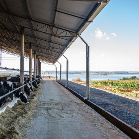 Alvoar Lácteos investe R$ 1,3 Milhão no Projeto ECO para fomentar práticas sustentáveis entre produtores