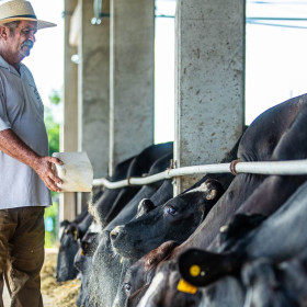 Alvoar Lácteos inaugura fábrica de ração em Sergipe
