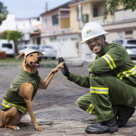 Propeg traz Eletricista e cão Max como protagonistas em nova campanha de segurança da Neoenergia