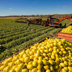 PIB do Ceará supera média nacional no 2º trimestre de 2025, com crescimento de 3,86%