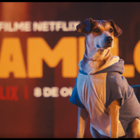 Brisanet lança campanha institucional em parceria com a Netflix