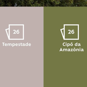 Na contramão da Pantone, Suvinil elege tons de verde e rosa como as cores do ano 2026