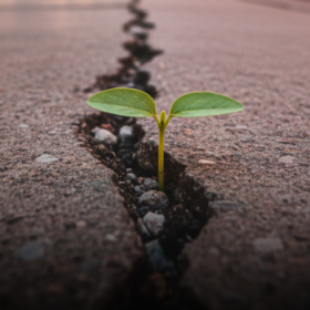 A crise do tempo na construção de marcas