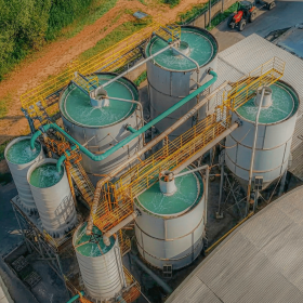 Cerbras inova em transparência ambiental com monitoramento de indicadores em tempo real