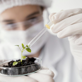 Nordeste lidera inovação em biotecnologia: 15% das patentes nacionais saem de universidades federais