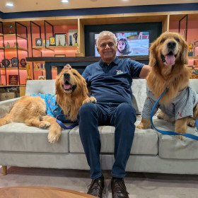 Nestlé Índia nomeia dois golden retrievers como Diretores da Felicidade