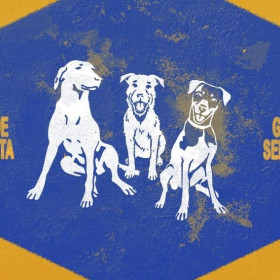 PEDIGREE® lançam campanha que valoriza o cachorro vira-lata para ressignificar o termo no Brasil