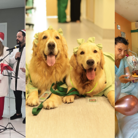 De corais a cães terapeutas: instituições de saúde investem em experiências que reforçam vínculos e fortalecem relacionamento
