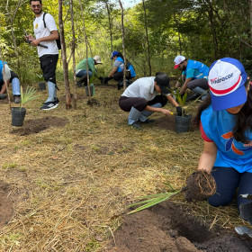 Hidracor e Associação Caatinga promovem ação de voluntariado com educação ambiental e plantio de 50 mudas de carnaúba