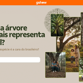 Vale e Globo convidam brasileiros a eleger qual árvore representa o país