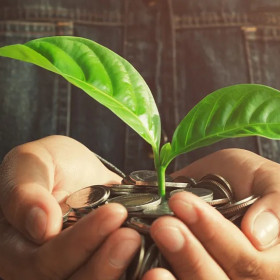 Sicredi amplia crédito para economia verde e alcança R$ 98,2 bilhões em 2025